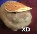 ConejitoXD