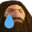 sadps2hagrid
