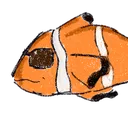 coolfish
