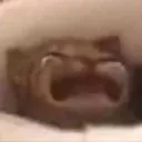 wah wah
