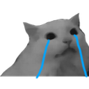 MishiCry_XP Discord emoji