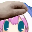 BPPat