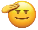 salute