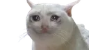 psSadCat Discord Emoji