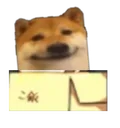 ficoo_box ficoo_box