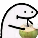 coconut