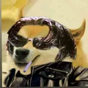 salmondoge