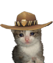 sheriffcat Discord emoji