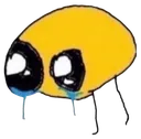 crie