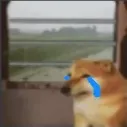 fakodogeemoji