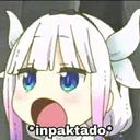 impaktao