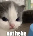 Not Hehe not_hehe Discord Emoji