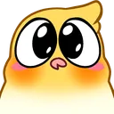 birbcute