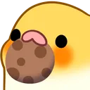 birbcookie birbcookie