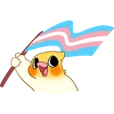 birbtransflag