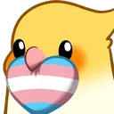 birbtransheart