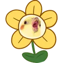 birbflower