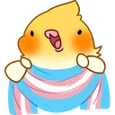 birbtransscarf