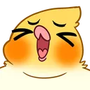 birbshout