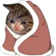 ComfyCat
