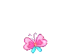 butterfly_pink