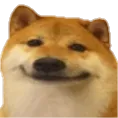 dogeheh