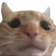 SwagSad