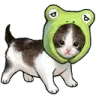 kittyfrog Discord Emoji
