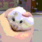 RatSquish RatSquish
