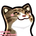 cc_pop_toast_DONTSTEAL