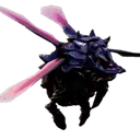 MacteraBrundle MacteraBrundle