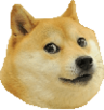 :doge:
