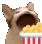 popcorncat