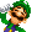 _DUMB_LUIGI