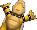 BOWSER_HYPE