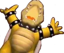 BOWSER_HYPE