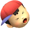 NES_SALT