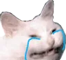 Cri