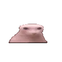 bingusangry