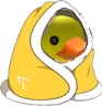 duckcozy