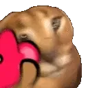 FloppaL