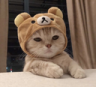 CatCashier Discord emoji