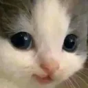 hehe hehe