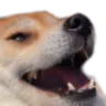 ha