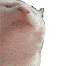 tuts Discord emoji