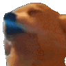 discord41