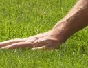 TouchGrass