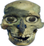 ROFLSKULL Discord emoji