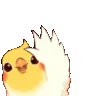 birbwaving