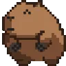 capy